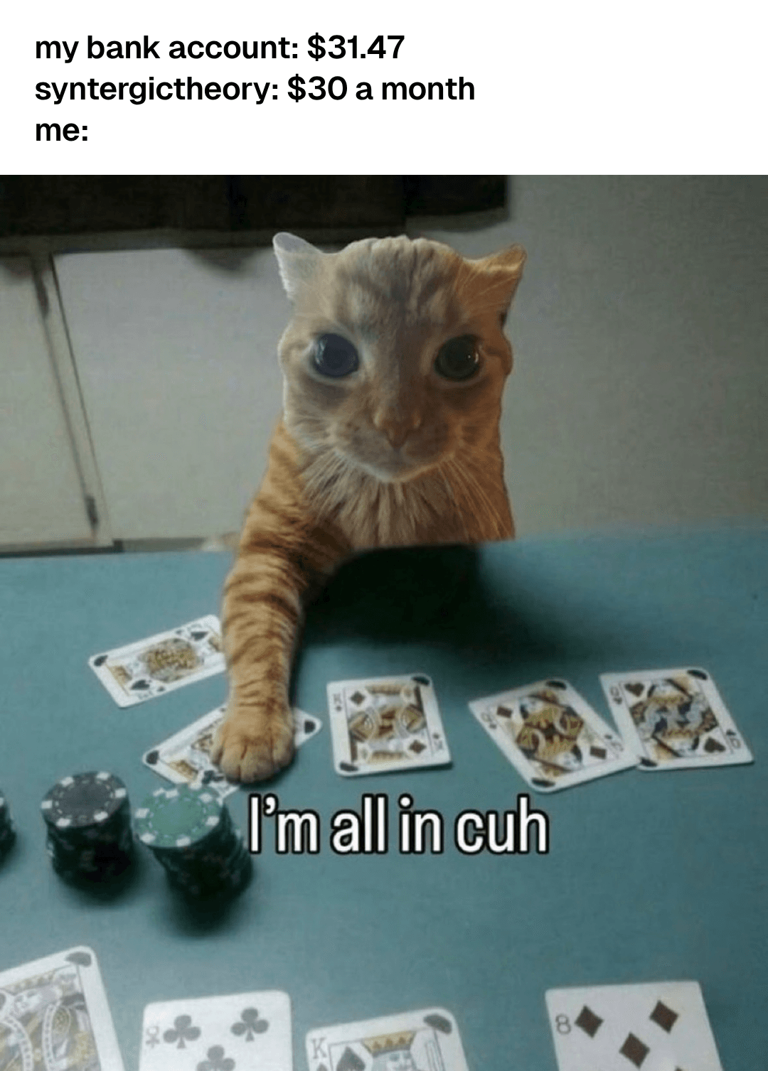 A cat going all in at a poker table, captioned with a $31.47 bank account and a $30 a month subscription.
